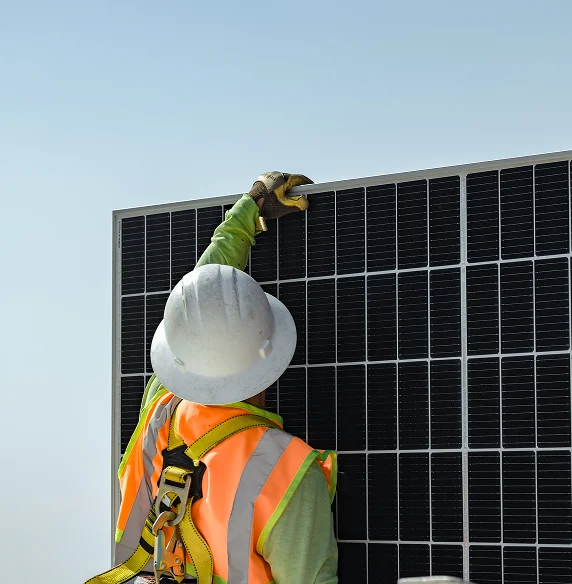 Technician Performing Professional Solar Panel Cleaning