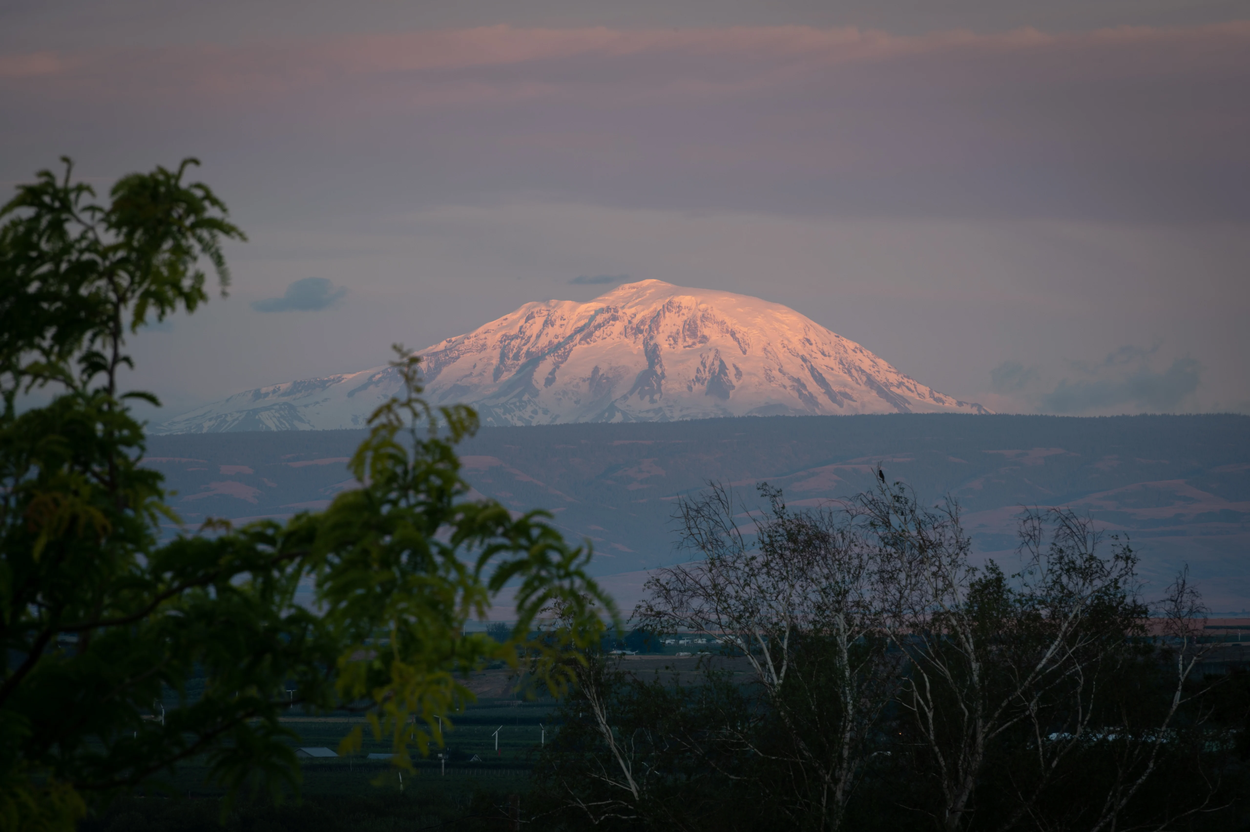 Sunrising on Mt Adams in the Yakima Valley, Washington State